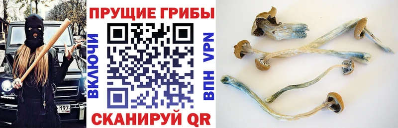 маркетплейс Telegram  Обь  Псилоцибиновые грибы MAGIC MUSHROOMS 